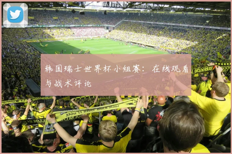 韩国瑞士世界杯小组赛：在线观看与战术评论