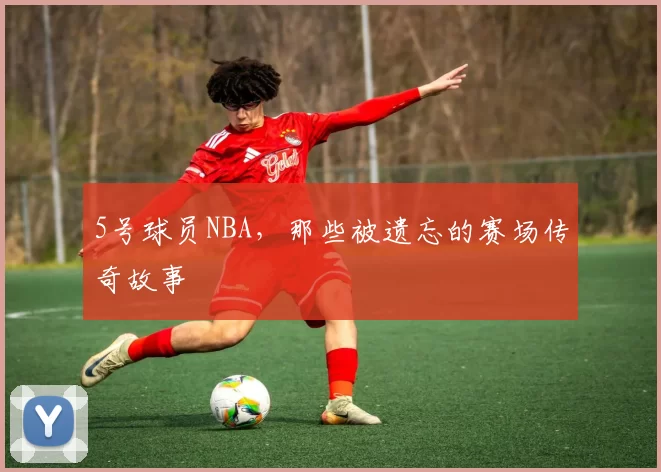 5号球员NBA，那些被遗忘的赛场传奇故事