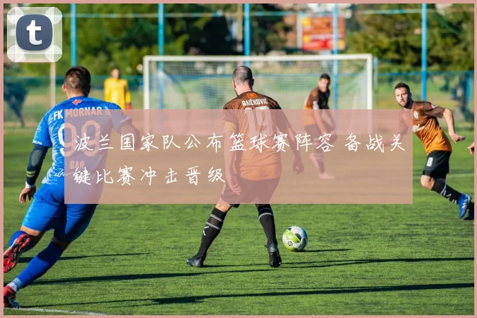 波兰国家队公布篮球赛阵容 备战关键比赛冲击晋级