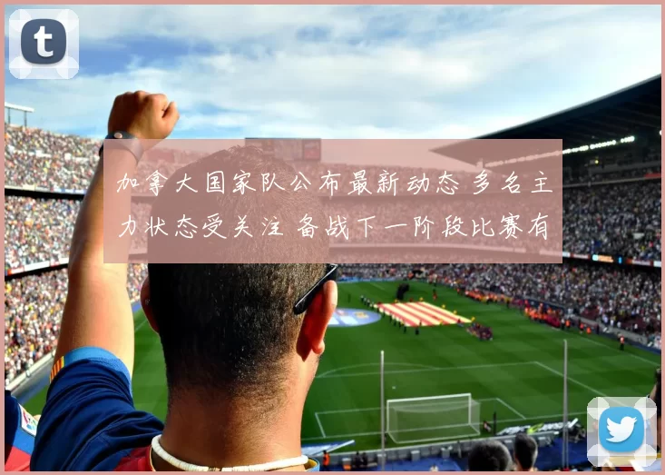 加拿大国家队公布最新动态 多名主力状态受关注 备战下一阶段比赛有新变化
