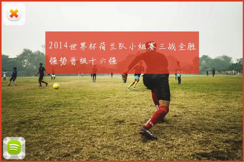 2014世界杯荷兰队小组赛三战全胜强势晋级十六强